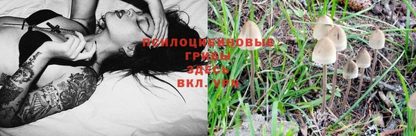 марихуана Бородино