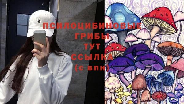 a pvp Бронницы